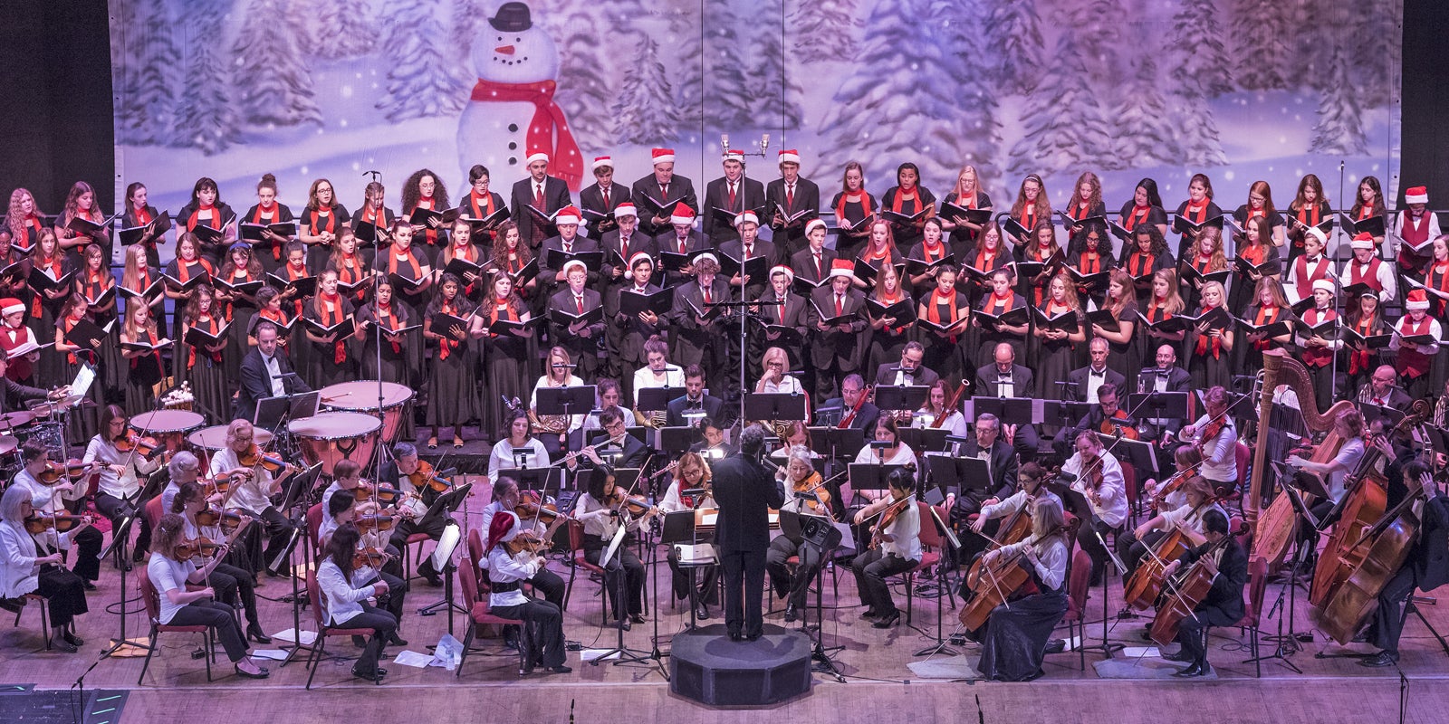 Albany Symphony The Magic Of Christmas Palace Theatre